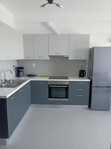 Η κουζίνα ή μικρή κουζίνα στο Alchania komi luxury apartment