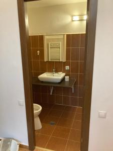une salle de bain avec un lavabo et des toilettes dans l'établissement Contessa Central Studio II, à Cluj-Napoca 12 autres photos