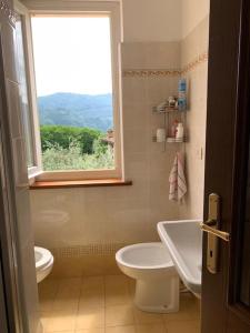 baño con aseo y lavabo y ventana en La casetta al lavatoio, en Borgo a Mozzano