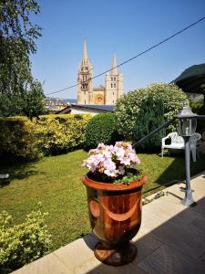 a flower pot with flowers in it on a patio at Le Mimat - Jardin - Wifi - Parking in Mende