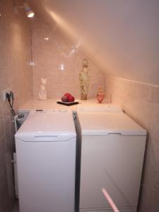 a white refrigerator in a bathroom with a ceiling at Le Mimat - Jardin - Wifi - Parking in Mende +16 photos