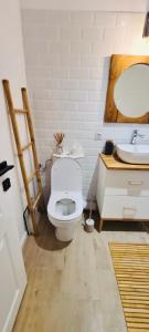 a bathroom with a white toilet and a sink at Warm and cozy studio flat near Straja in Uricani