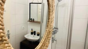 een badkamer met een wastafel en een douche met een spiegel bij Apartment FLORA in Halle an der Saale in Halle an der Saale