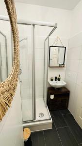 een badkamer met een douche en een wastafel bij Apartment FLORA in Halle an der Saale in Halle an der Saale