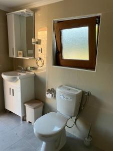 uma casa de banho com um WC, um lavatório e um espelho. em Stone house em Cetinje