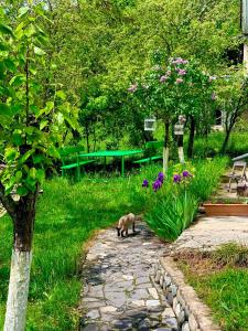 a cat walking down a stone path in a park at Villa Bubi in Tbisi