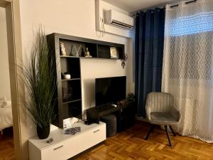 ein Wohnzimmer mit einem TV und einem Stuhl in der Unterkunft The Luxe Loft apartment in Novi Sad