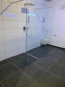 een badkamer met een douche en een toilet bij Allgäu Loft Obermaiselstein in Obermaiselstein