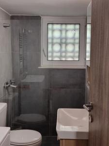 ein Bad mit einem WC, einem Waschbecken und einem Fenster in der Unterkunft Harmony in everything in Athen