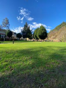 a large field of green grass with trees in the background at Hotel Mirador de Barcia in Ribeira de Piquin