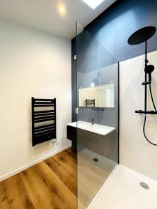 ein Bad mit einem Waschbecken und einem Spiegel in der Unterkunft Loft - Centre Ville in Brest
