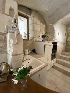 a kitchen with a dog jumping off a wall at Le Manoir des Roches in Bourré