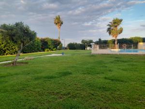 a park with two palm trees and a pool at A vora mar in Benicarló