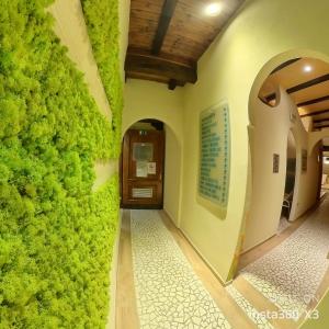 un couloir d'un bâtiment avec un mur vert dans l'établissement G. Hotel Des Alpes (Classic since 1912), à San Martino di Castrozza