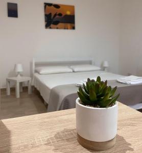um quarto com uma cama e um vaso de plantas sobre uma mesa em Sullo Stretto em Messina