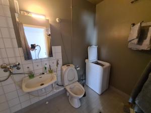 een badkamer met een toilet, een wastafel en een spiegel bij Rytitornit Apartment A18 in Kemi
