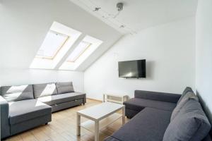 ein Wohnzimmer mit einem Sofa und einem TV in der Unterkunft Apartament Mierzeja Wiślana in Sztutowo