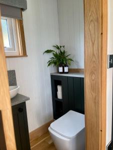 a bathroom with a toilet and a plant on a counter at Cwtch Cader Shepherds Hut in Llanelltyd