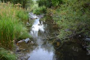 Imagen de la galería de S & M Guest House, en Hermon