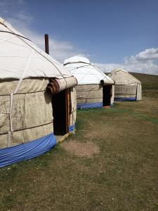 a group of three tents in a field at Song Kol lake, Flex Travel yurt camp, horse riding in Song-Kul