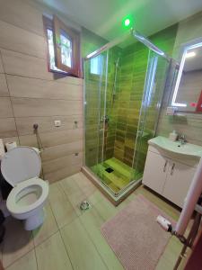 y baño con ducha, aseo y lavamanos. en Apartments Marjanović, en Zlatibor