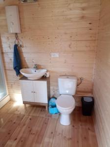 e bagno in legno con servizi igienici e lavandino. di Drewniany domek na kaszubach u Oli a Niesiołowice