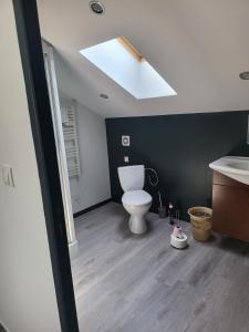 a bathroom with a toilet and a sink and a skylight at La maison dans les noyer in Sainte-Eulalie