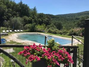 Πισίνα στο ή κοντά στο AGRITURISMO PODERE LE PIALLE
