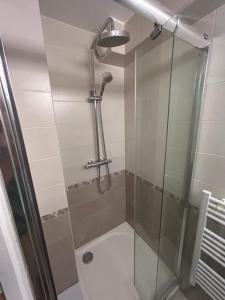 a shower in a bathroom with a glass door at F2 situé entre Paris et EuroDisney proche de la ligne RER A à Bry-sur-Marne in Bry-sur-Marne