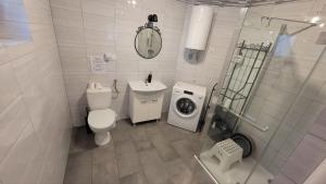 a bathroom with a toilet and a washing machine at Domek babci Marysi in Krasnobród