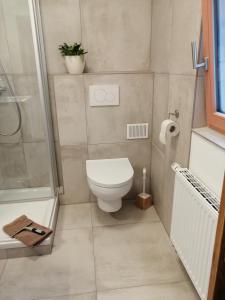 y baño pequeño con aseo y ducha. en Ferienwohnung im Auszeithaus Hohenlohe, en Forchtenberg