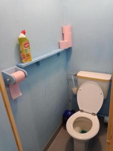 a small bathroom with a toilet in a doll house at Maison complète in Montluçon