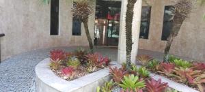 Gallery image of Condominio Chateau Mondrian in Cabo Frio