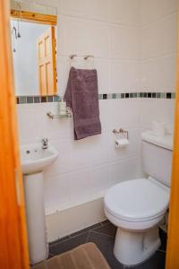 a bathroom with a white toilet and a sink at 2 Bed on The Main Street in Clogherhead