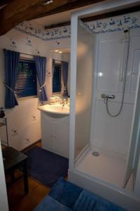 ein Bad mit einer Dusche, einem Waschbecken und einem WC in der Unterkunft La Gran'Porte in Troisvaux