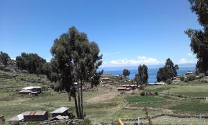 a view of a farm with the ocean in the background at Taquile Sumaq Wasi - Casa de Felipe e Ines in Huillanopampa
