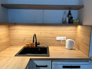 a kitchen with a sink and a counter top at Appartement NaMoll in Ausserfragant