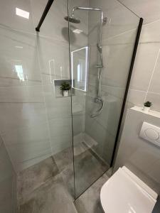 een badkamer met een glazen douche en een toilet bij Apartment Roni in Zadar