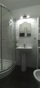 Un baño con lavabo y ducha de cristal. en MSH Rustic apartment - Liars Bridge Sibiu, en Sibiu 24 fotos más