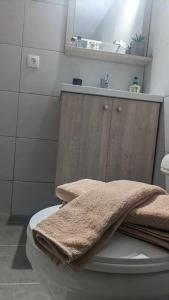 uma casa de banho com um WC com uma toalha em Skordalos mezoneta em Áno Viánnos