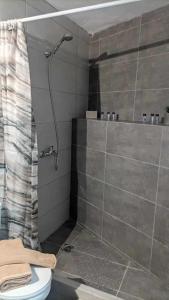 uma casa de banho com um chuveiro e um WC. em Skordalos mezoneta em Áno Viánnos