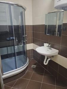 een badkamer met een wastafel en een douche bij Apartman Quality in Voždivac