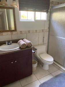 a bathroom with a toilet and a sink and a shower at Palma Real 3xBedroom Villa Z45 in Roma