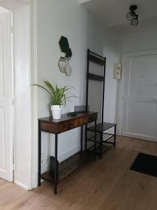 een kamer met een tafel met een potplant erop bij Appartement Centre Ville in Nevers