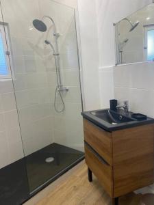 a bathroom with a shower and a sink and a mirror at Appartement Centre Ville in Nevers