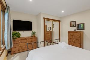 1 dormitorio con 1 cama y TV de pantalla plana en Big Boulder Mountain 10 min walk vacation home, en Lake Harmony