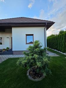 a small tree in the yard of a house at Ubytovanie na súkromí in Veľká Lomnica