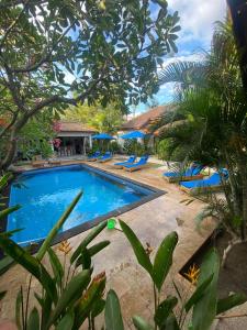 a pool in a resort with blue chairs and trees at Indigo Bungalows in Gili Trawangan