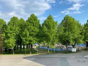 un groupe d'arbres dans un parc avec une aire de jeux dans l'établissement Tilava yksiö keskeisellä sijainnilla Kuopiossa, à Kuopio