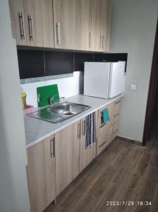 kuchnia ze zlewem i lodówką w obiekcie Hotelik rodzinny 365 pokoje z łazienkami w Łodzi